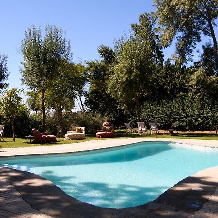 Monte Dos Pensamentos - Turismo Rural Estremoz Eksteriør billede