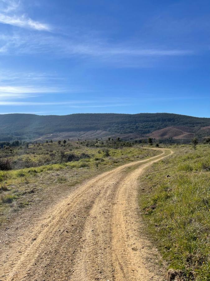 Monte Dos Pensamentos - Turismo Rural Estremoz Eksteriør billede