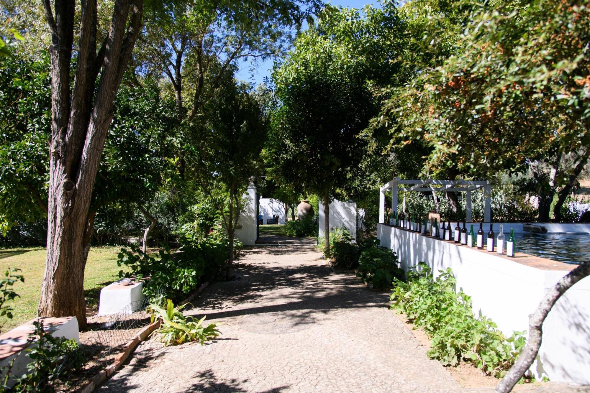 Monte Dos Pensamentos - Turismo Rural Estremoz Eksteriør billede