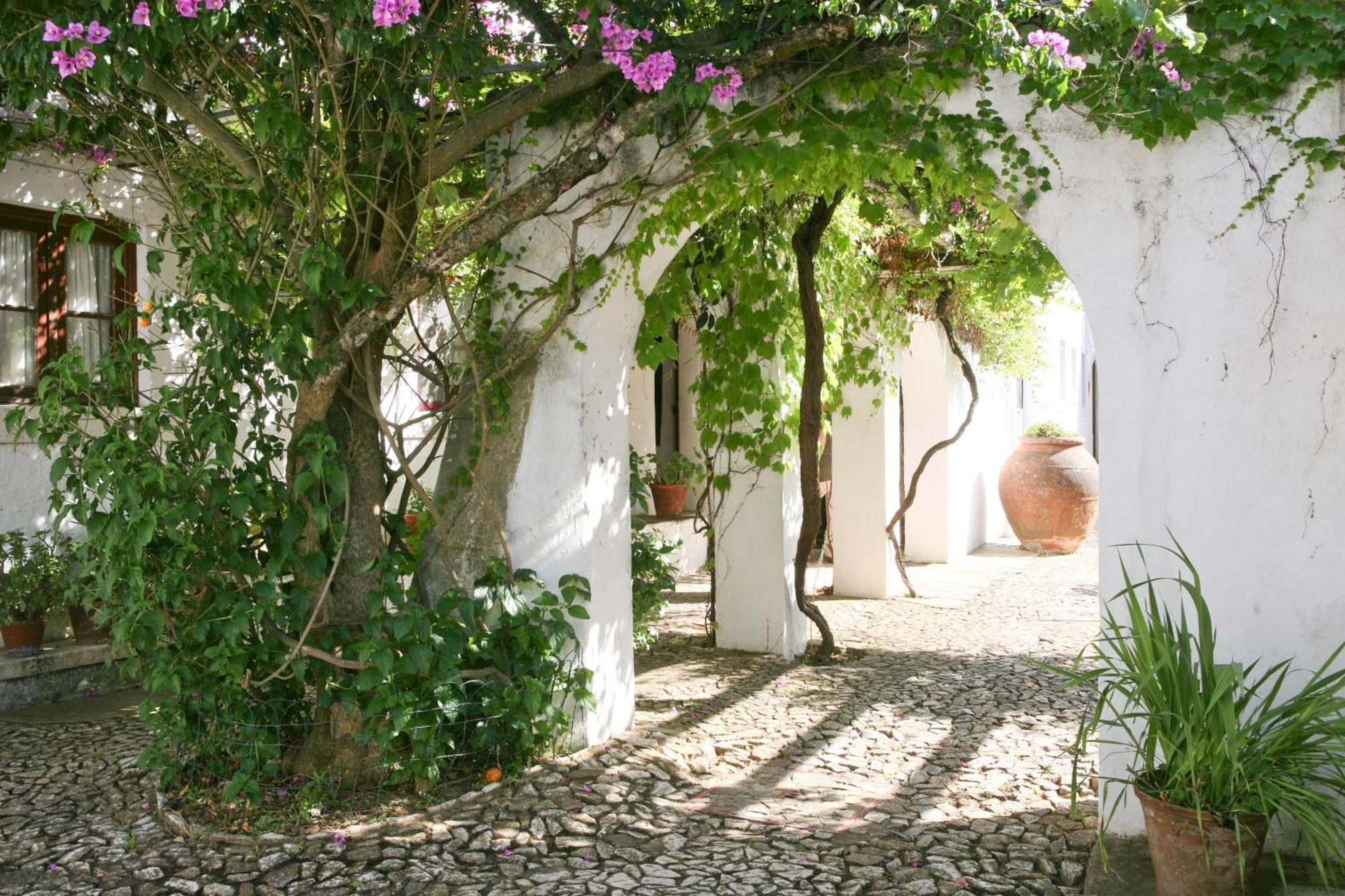 Monte Dos Pensamentos - Turismo Rural Estremoz Eksteriør billede